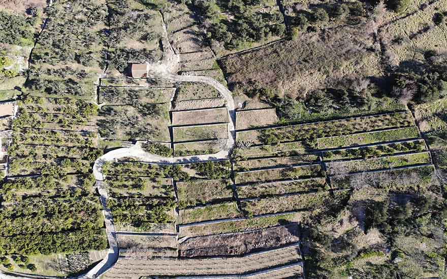Aerial view of the cottage, bird's perspective