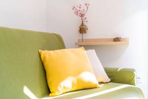 A cushion on the sofa