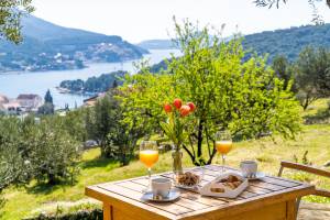 Breakfast with a view