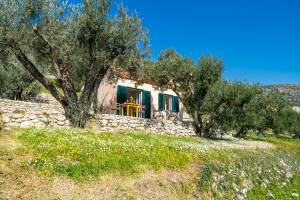 Cottage among the trees