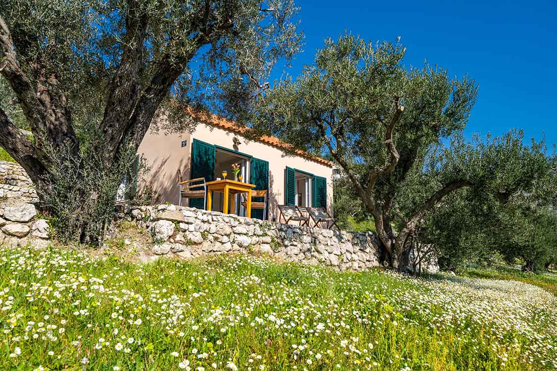 A little gem cottage in the nature