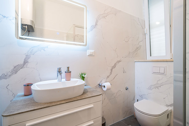 Bathroom sink and toilet
