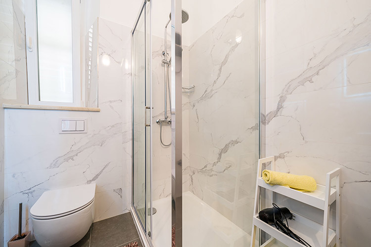 Bathroom toilet and shower
